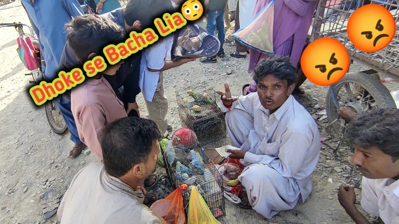 Birds Lover KO Fraud Se Bacha Lia 😱 ||Fraud ki intiha Hogai Aj To ||Vlog with osama