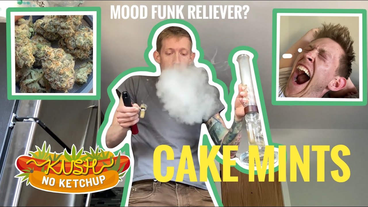 Cake Mints Strain Review | KUSH NO KETCHUP