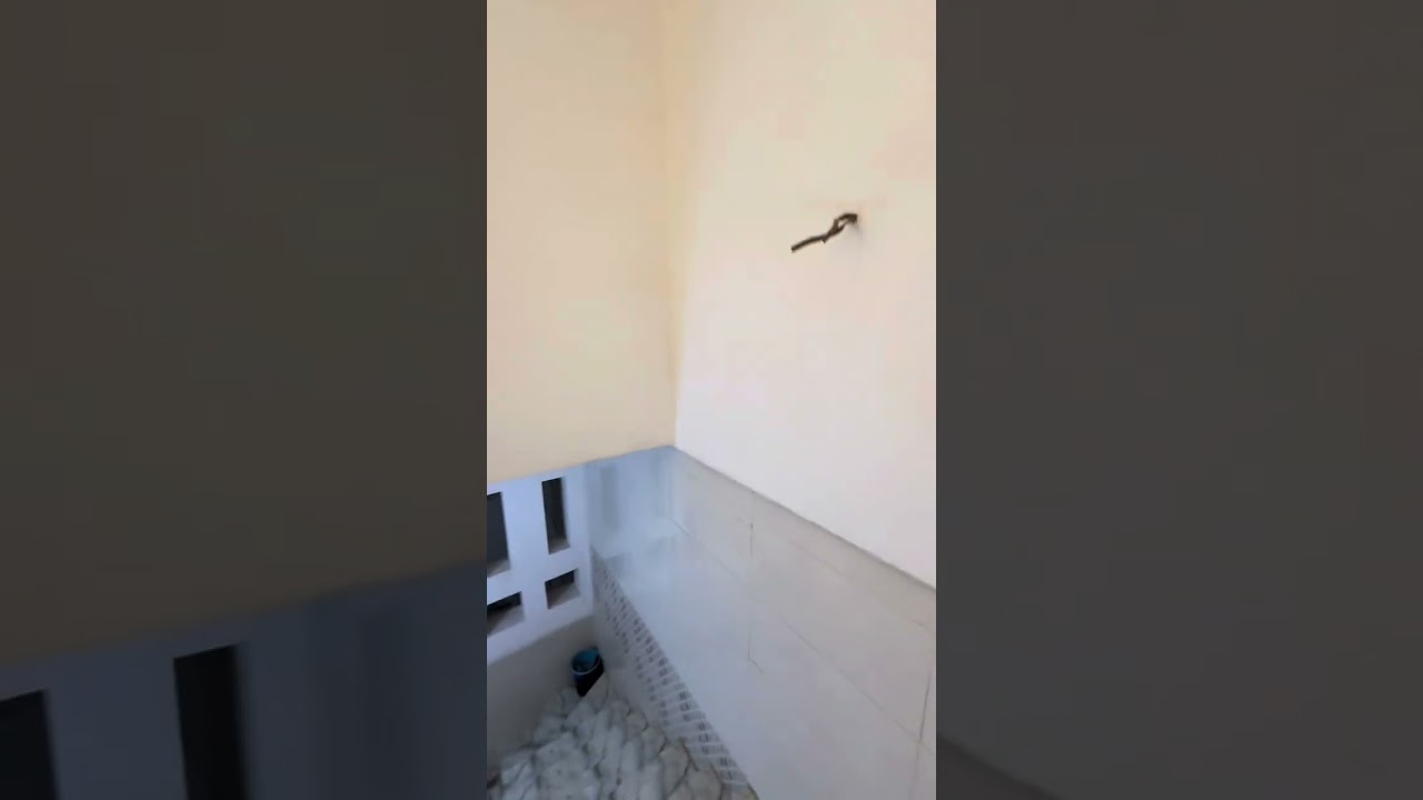 بيت للبيع ١٥٠متر كربلاء المقدسة قرب سيد جوده الاتصال 07717458378