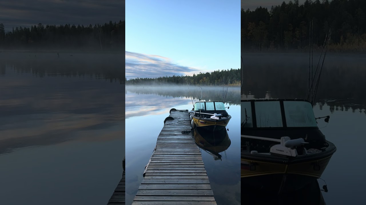 Осенняя Карелия. #рыбалка #natureasmr #lake