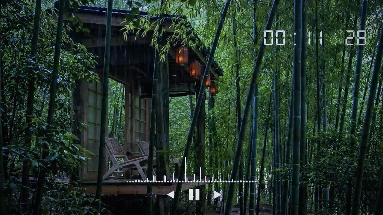 Heavy Rain Falling in the Silent Woods for Rest