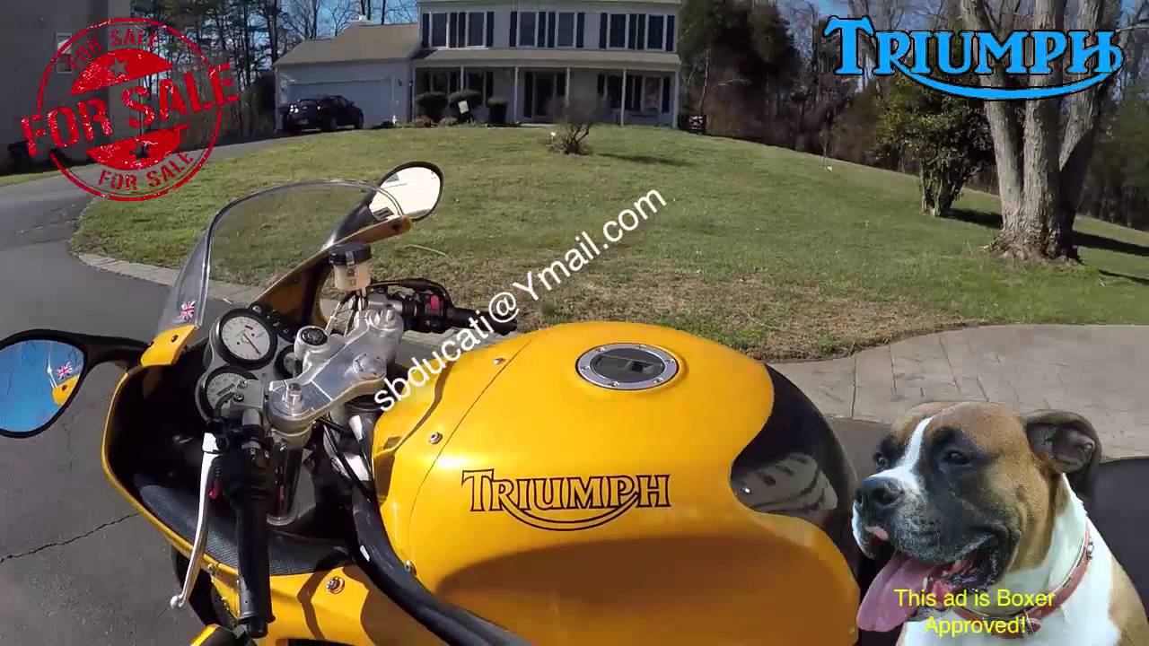 for sale 1998 triumph daytona t595 955i (SOLD)