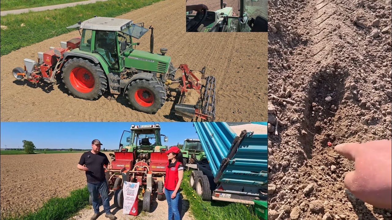 Farmvlog#55 🌽Mais legen mit Fendt Favorit 510 (Drohne) / Deutsche Saatgut Versuch