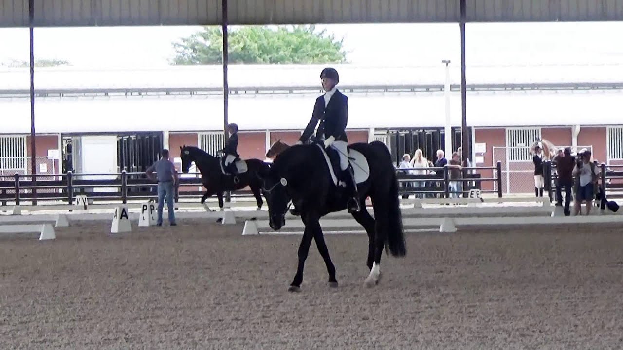 Damon 1st Level Test 1  2015