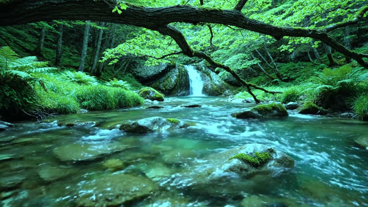 asmr sounds to rest the mind, stress, anxiety to sleep and rest, splashing sounds