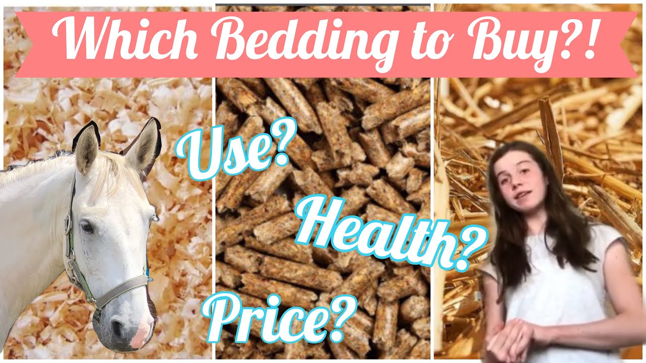 Comparing Horse Bedding ~ Pro’s, Con’s and Cost