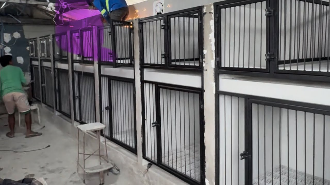 Dream Kennel 🧿✅