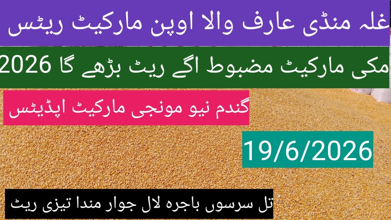 Makki munji ka rate today| Gandam ka rate 2026| sarso till bajra| ghalla Mandi rate today