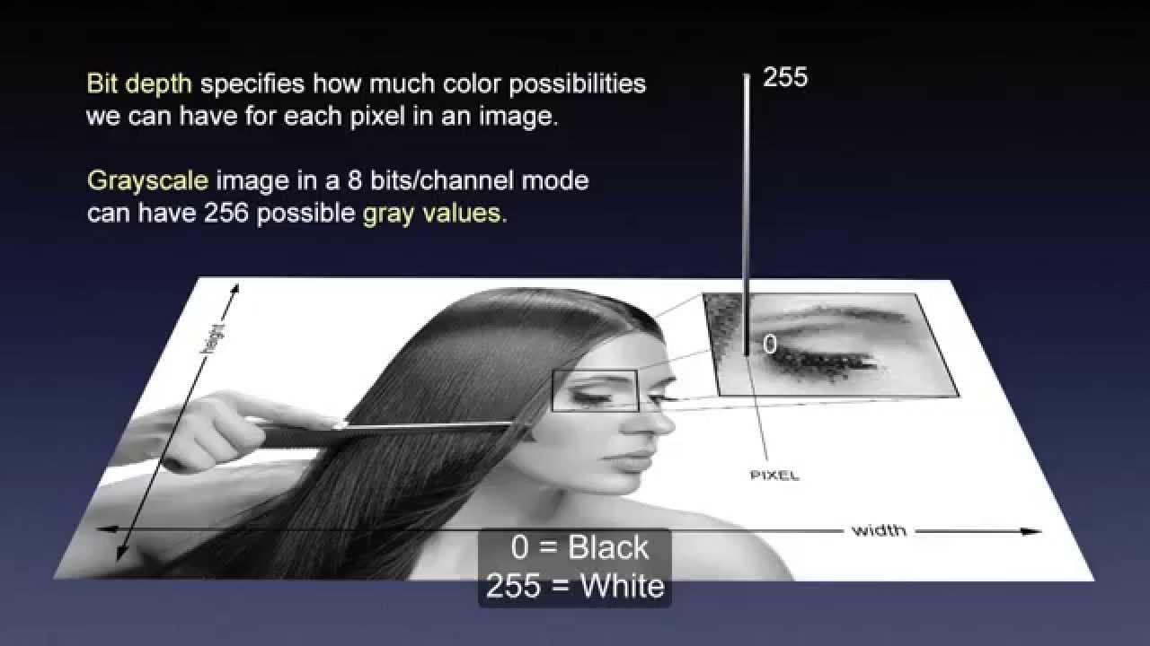 Bit Depth in Depth: All you never wanted to know about bit depth. 
