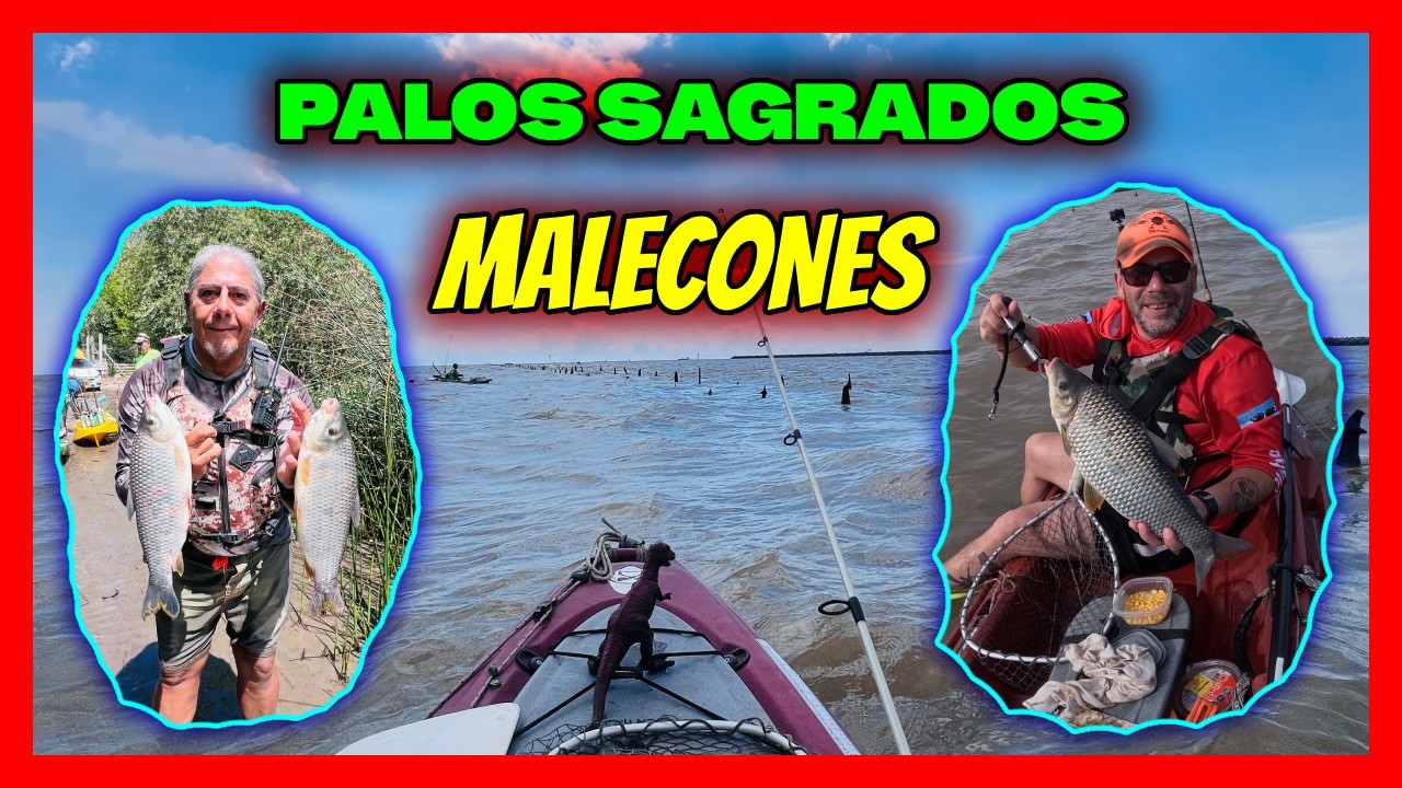 🟩  PALOS SAGRADOS   🟢  MALECONES A PLENO
