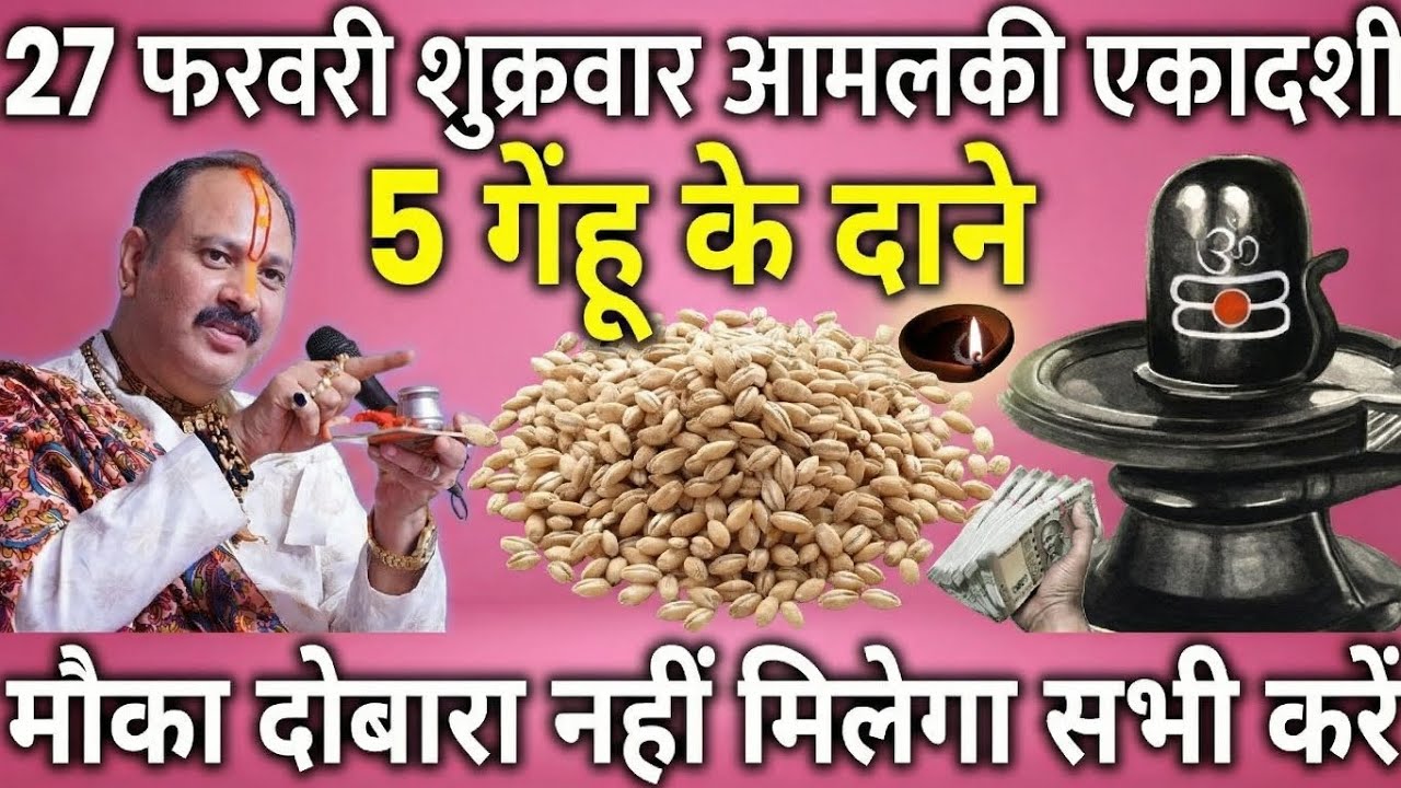 27 फरवरी शुक्रवार आमलकी एकादशी व्रत के दिन 5 गेंहू के दाने वाला उपाय जरुर करे || Pradeep Ji Mishra