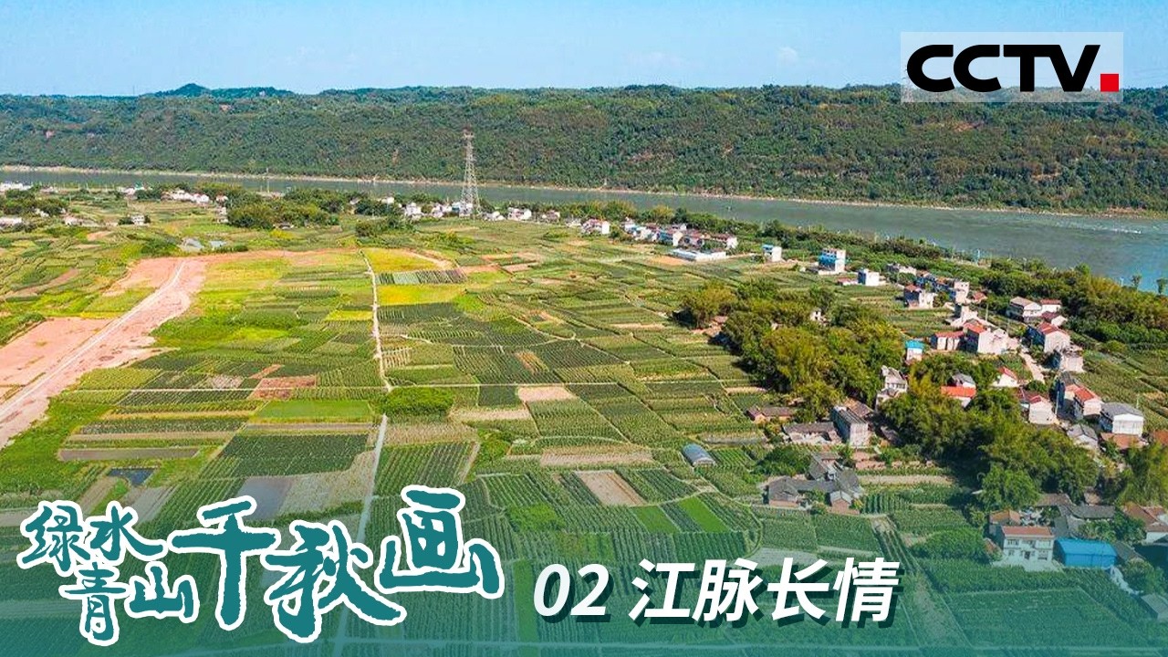 《绿水青山千秋画》02 江脉长情：‌长江村的蜕变 从渔舟到绿岸的生态复兴【CCTV纪录】