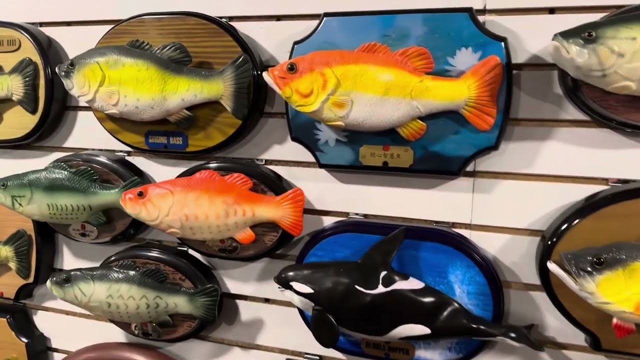 Singing fish collection update (9-5-23)