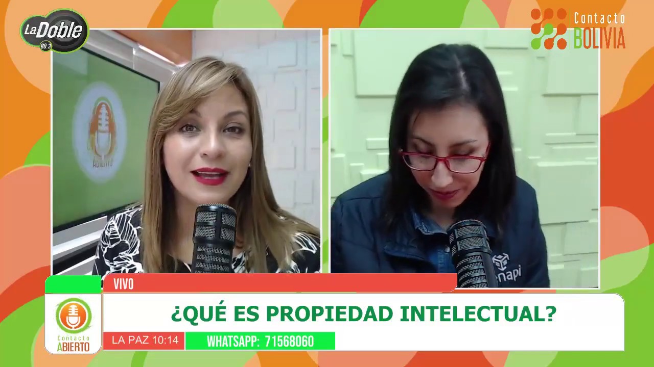 ¿QUÉ ES PROPIEDAD INTELECTUAL?