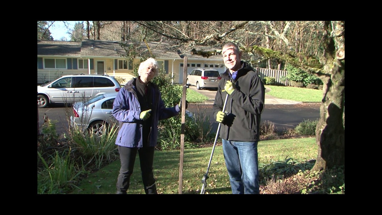 Winter garden protection tips