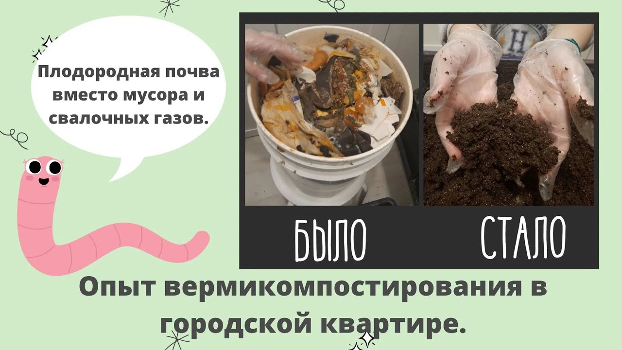 БЕСПЛАТНЫЙ БИОГУМУС - или как организовать верми-ферму