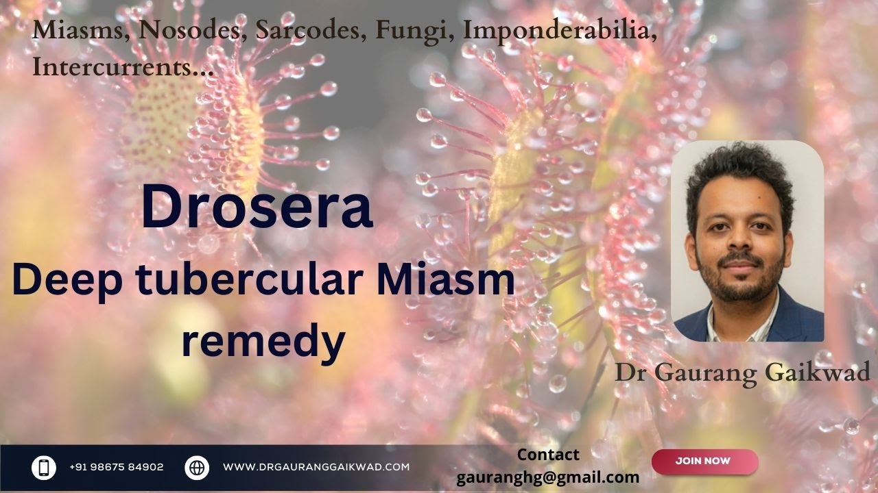Drosera - a deep tuberculinum miasmatic remedy | Dr Gaurang Gaikwad