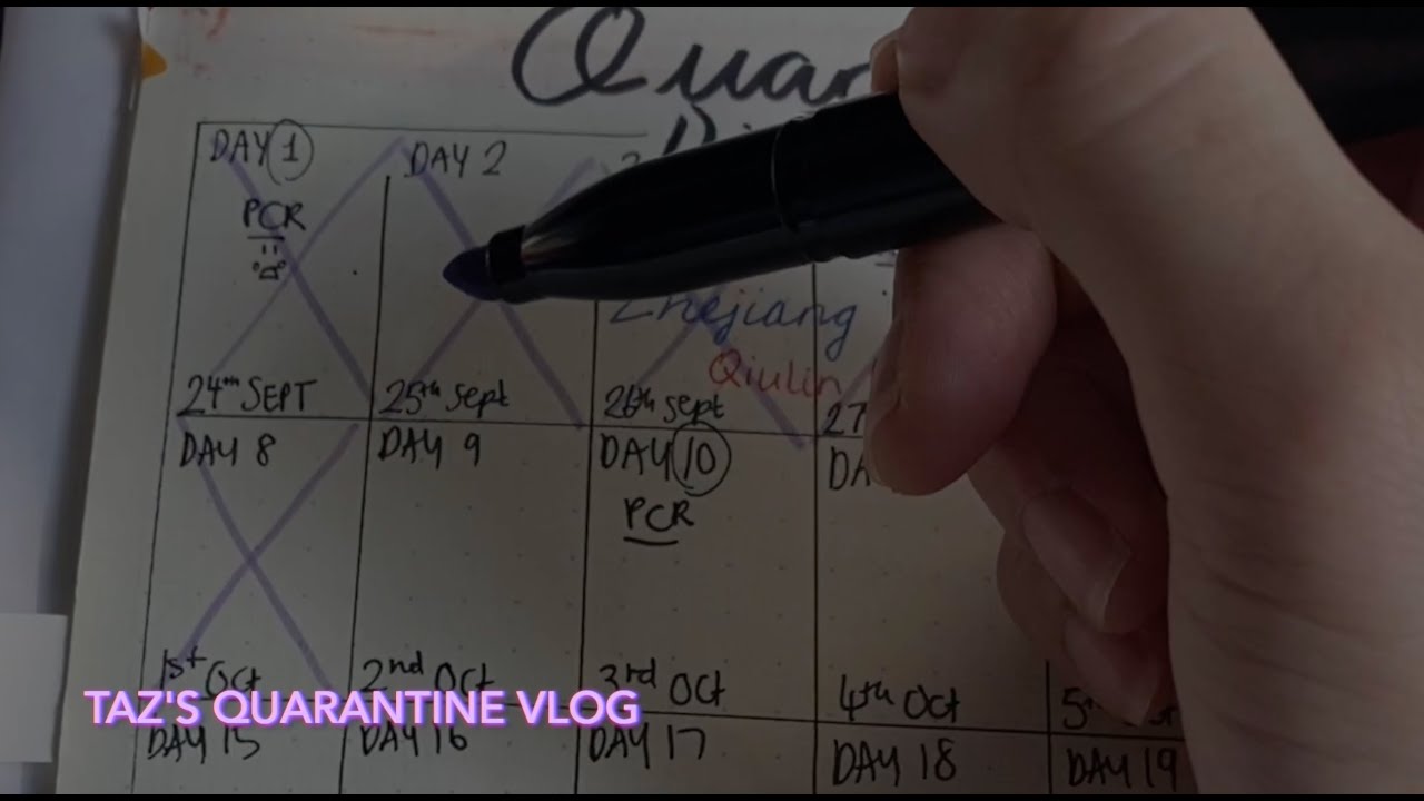 Taz's Quarantine VLOG 태윤이의 격리 브이로그 | My 28 Day Quarantine In China 나의 28일 동안에 중국 격리 블로그