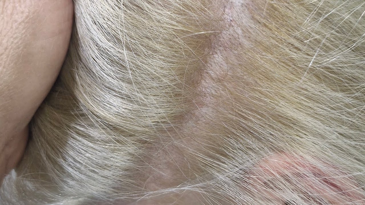 Como funciona A COLORAÇÃO 2000 Da Keune Ultimate Blonde