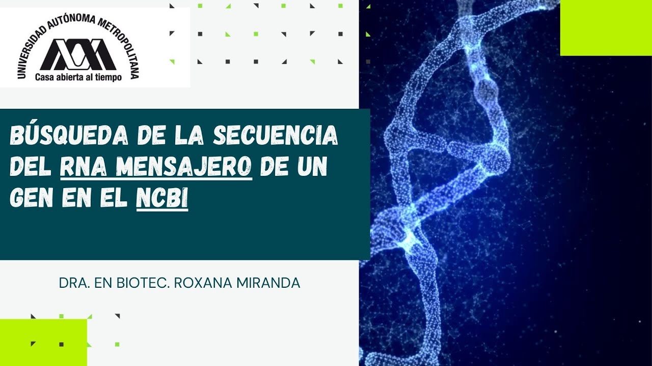 Búsqueda del mRNA de un gen en el NCBI