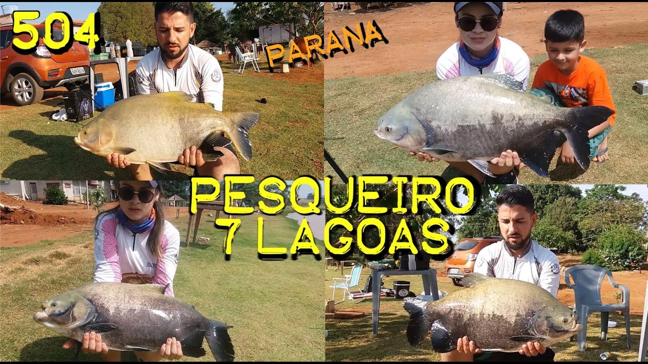 Conhe&ccedil;a o Pesqueiro 7 Lagoas em Guapirama no Paran&aacute; - Fishingtur na TV 504