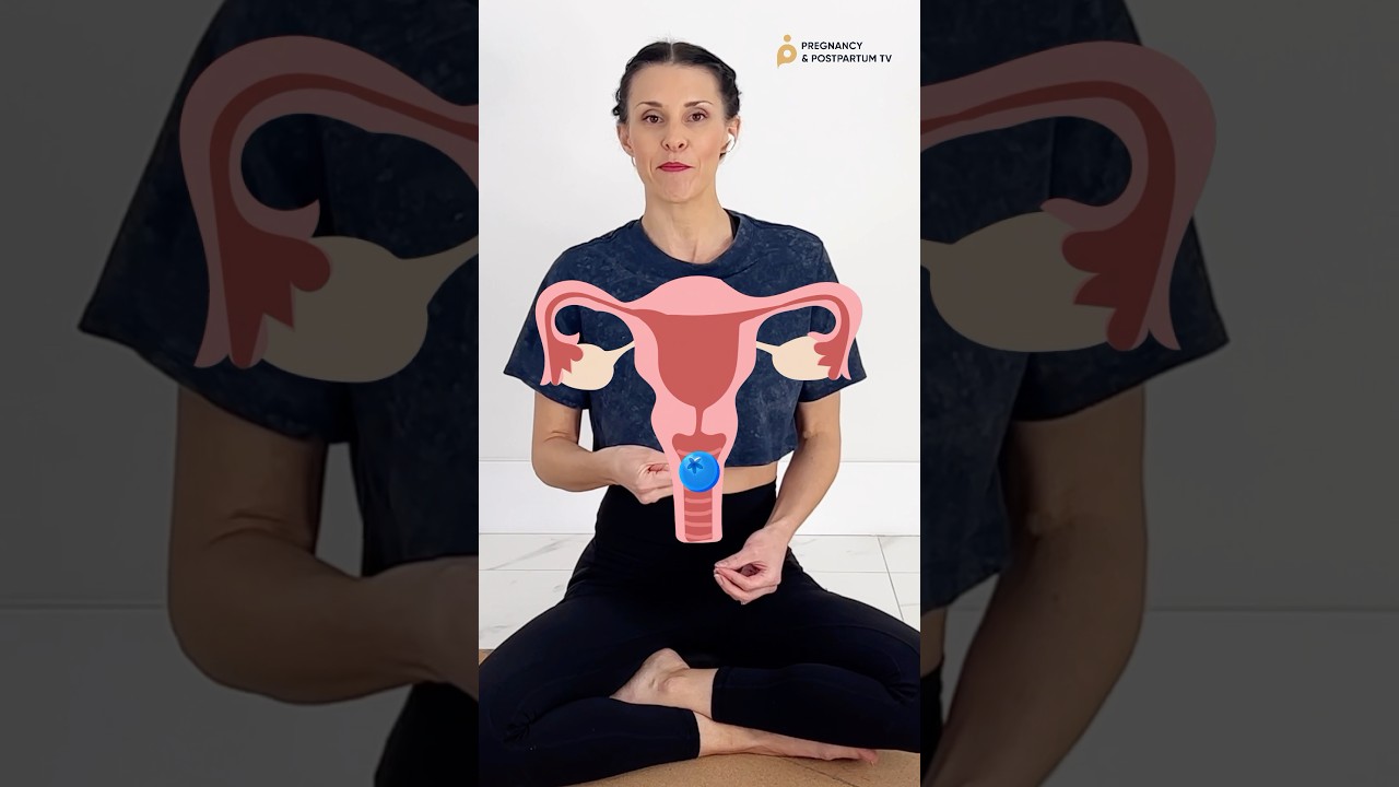 HOW to Kegel Correctly (With Visuals & Cues!) 🫐