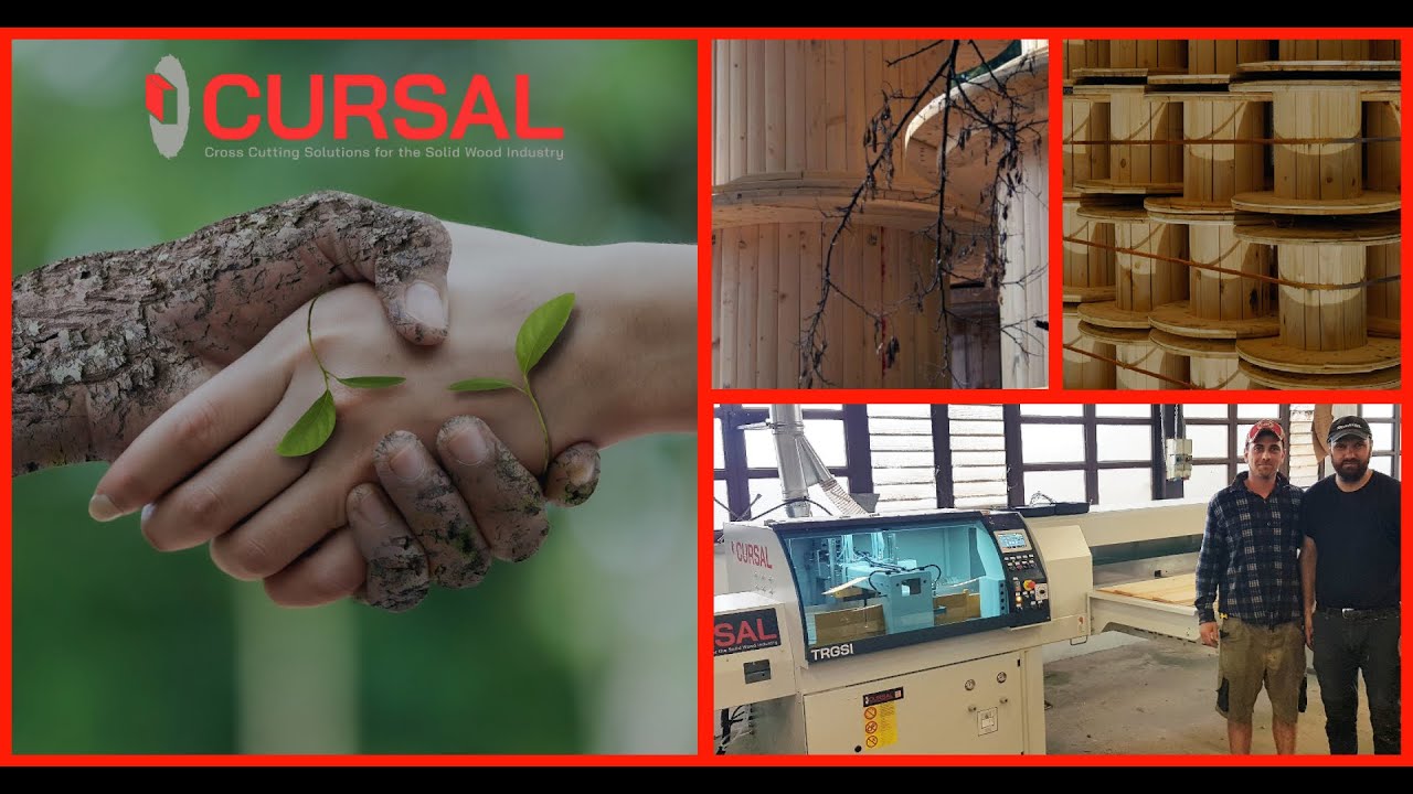 CURSAL Diagonal cut cross-cut saw TRGSI for custom-made fir and plywood spools