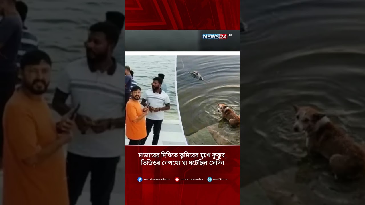 মাজারের দিঘিতে কুমিরের মুখে কুকুর, ভিডিওর নেপথ্যে যা ঘটেছিল সেদিন  | NEWS24