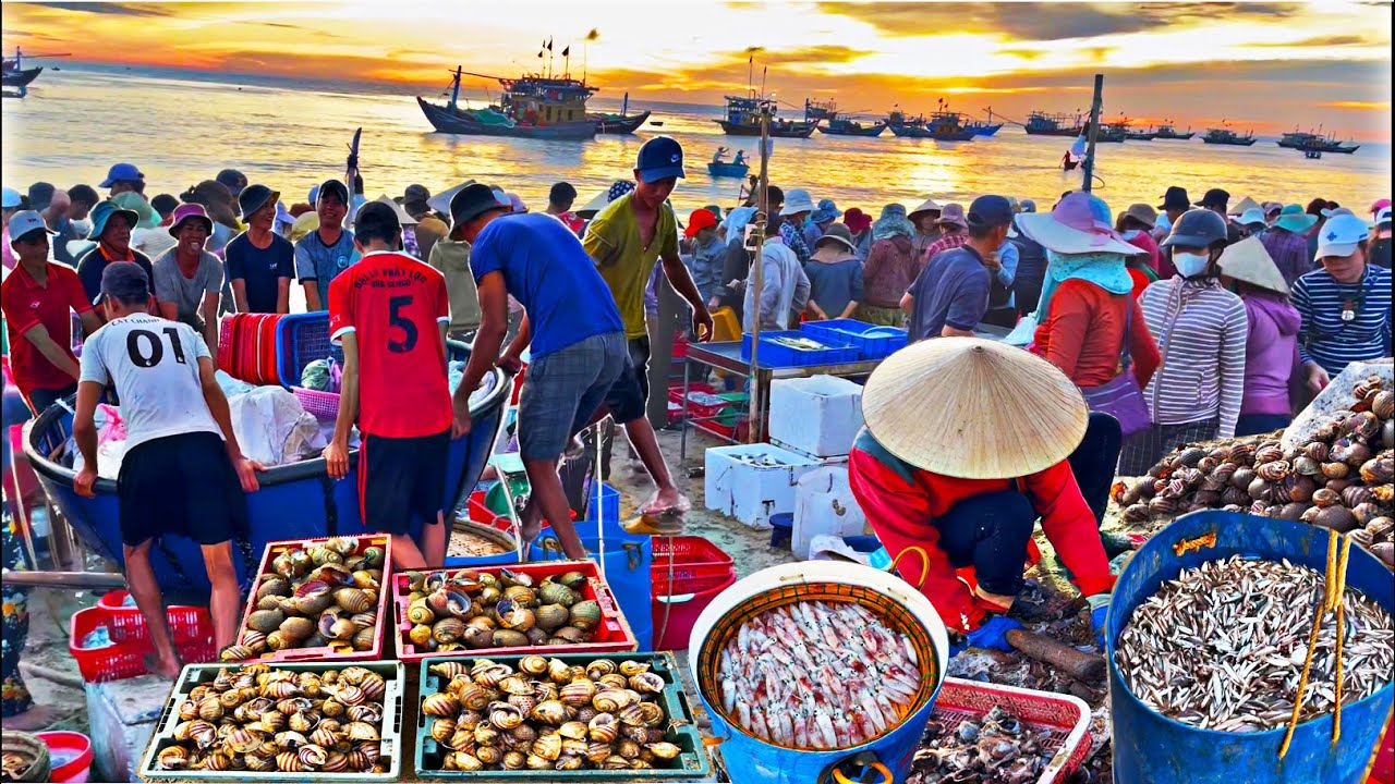 Absolutely amazing: The Most Unique and Busiest Fish Market in Central Vietnam.