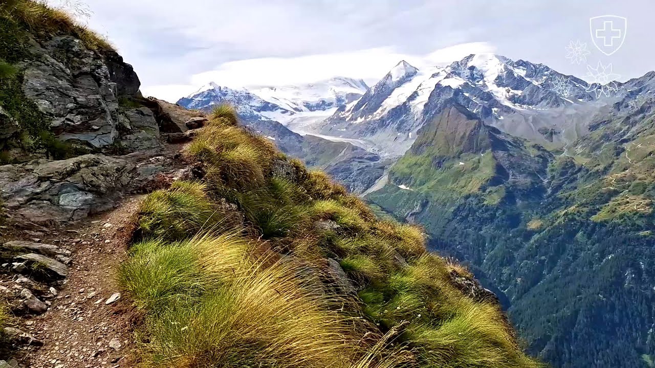 Hiking Verbier's dramatic chamois trail from La Chaux to Col Termin (2025/08/04)
