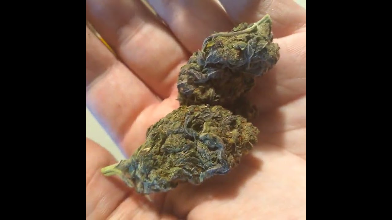 thca hempflower moonrocks and flower look