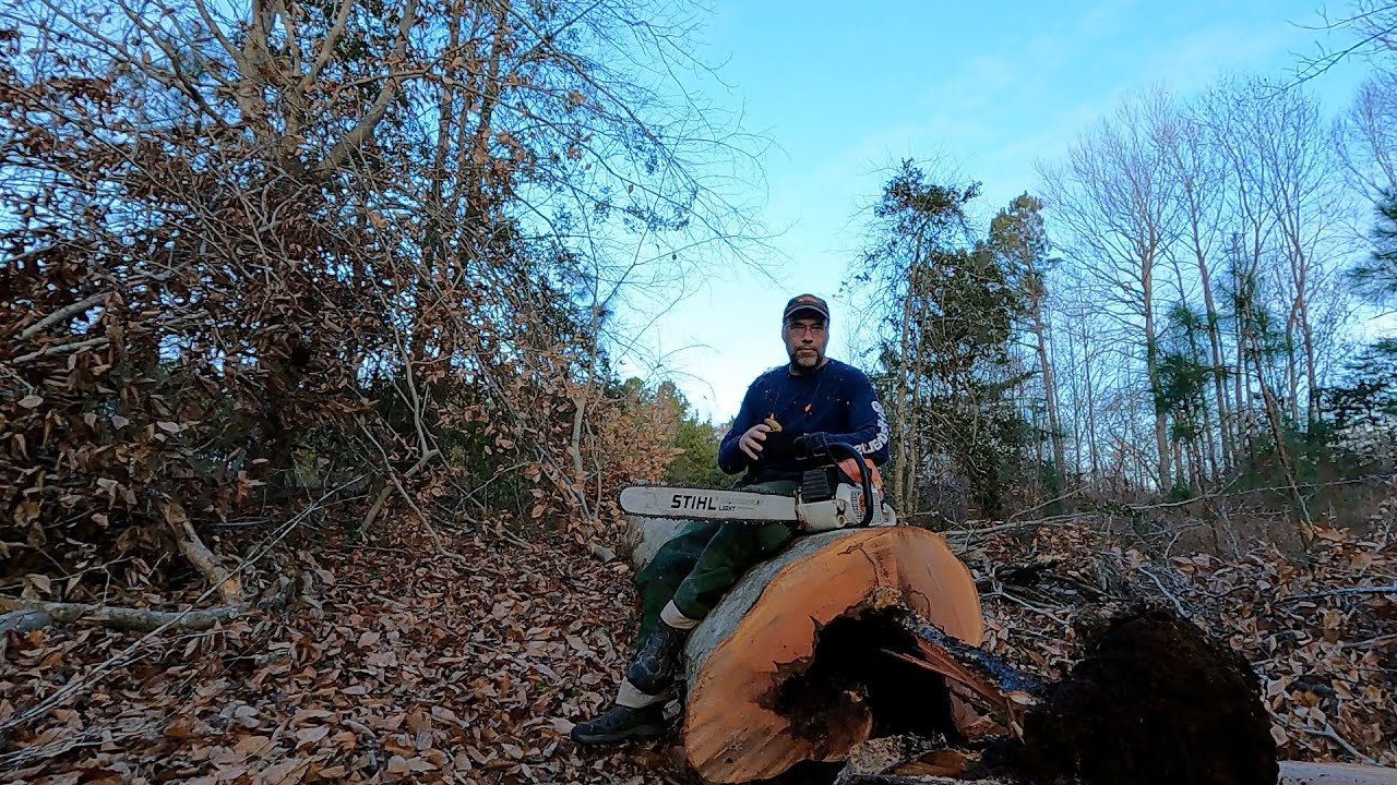Big Bertha meets Big Beech - Milling a Rustic Outdoor Bench, Part 1