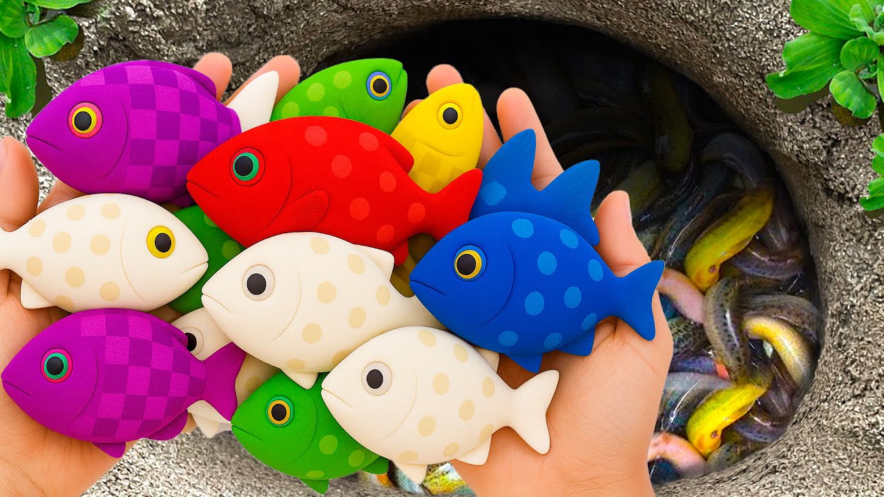 Catch Ornamental Fish in Giant Colorful Eggs, Tropical Fish, Turtle, Carp, Neon Tetra, Pearl Gourami