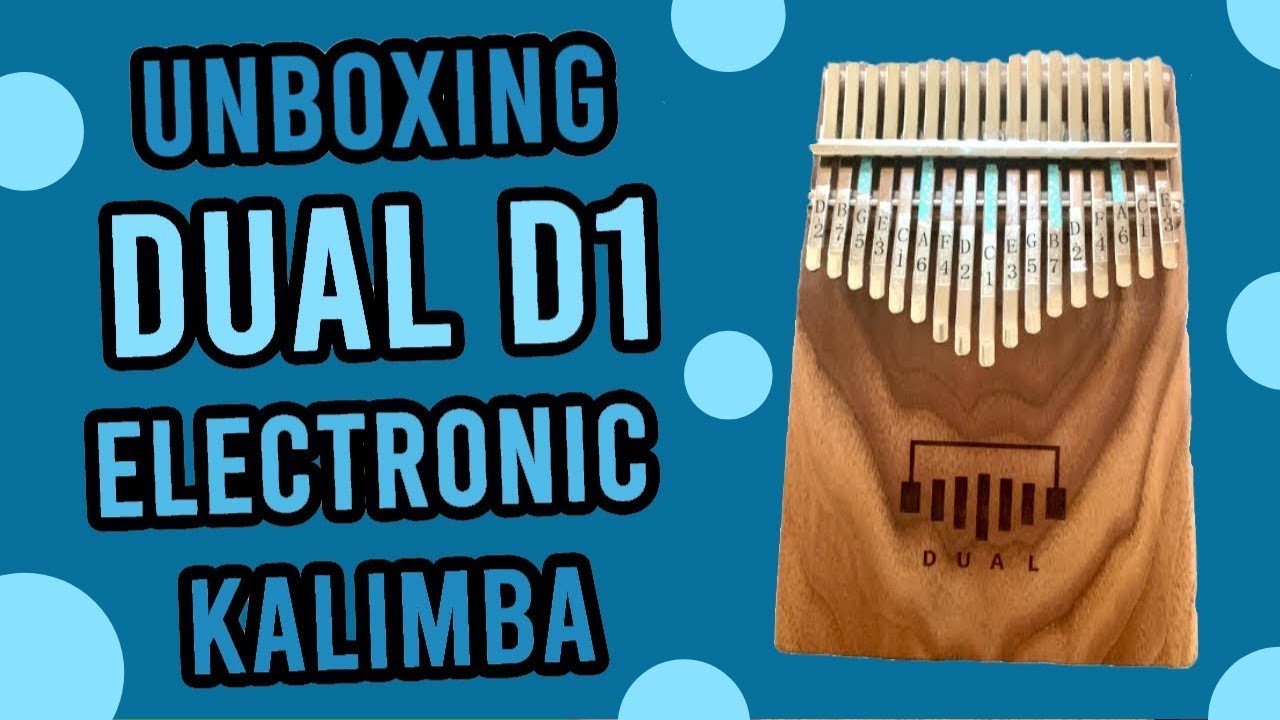 I Finally Got My First Electronic Kalimba | Dual Kalimba D1 Unboxing