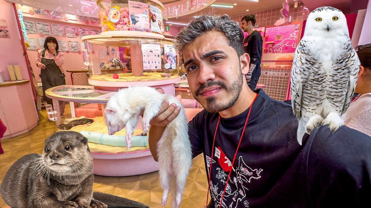 La TRISTE REALIDAD de las cafeterías con ANIMALES en JAPÓN