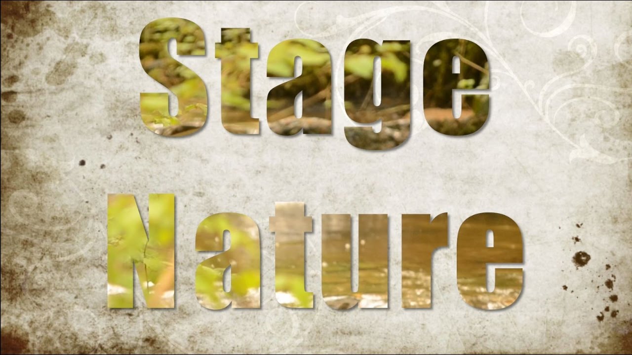 Stage Nature CKE
