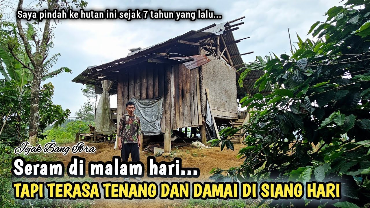 SENDIRIAN,, TINGGAL DI PUNCAK GUNUNG DI RUMAH NYETRIK TENGAH HUTAN...