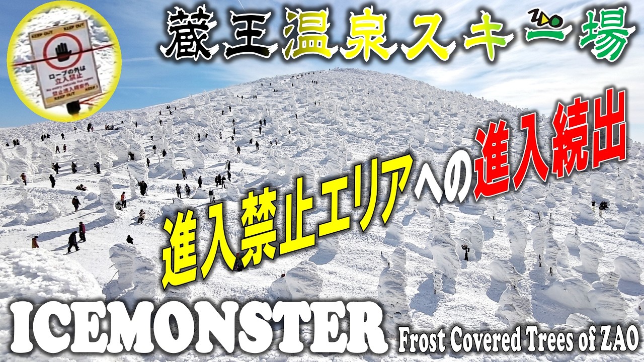 【蔵王温泉スキー場】2月とは思えない気温と進入禁止エリアへの進入続出で樹氷の今後を憂う【20260221】