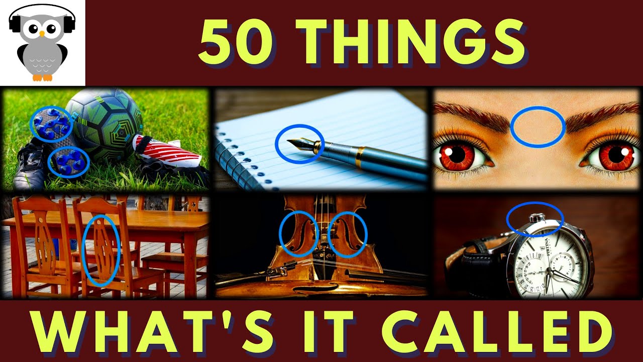 What's It Called Quiz Trivia #2 | 50 Things | Name These Things | Do You Know | Pub Quiz