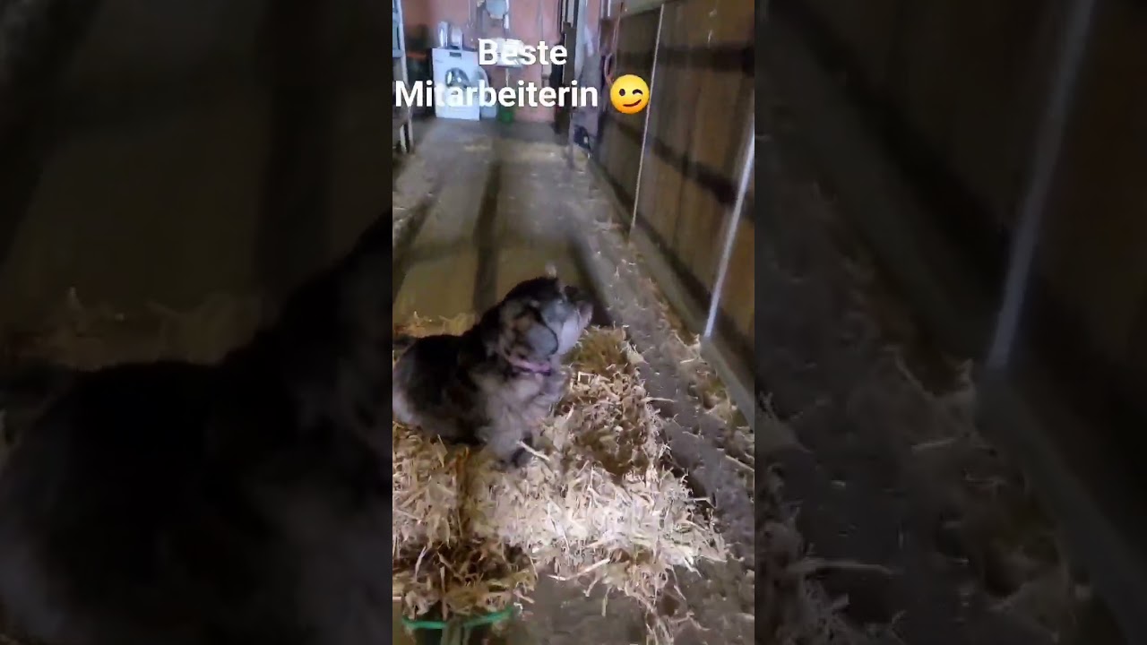 Beste Mitarbeiterin 😂😂