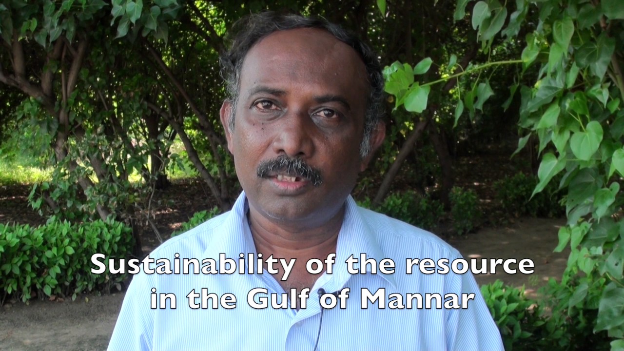 From waste to wealth using algae: a phycoremediation plant in India. October 2010.