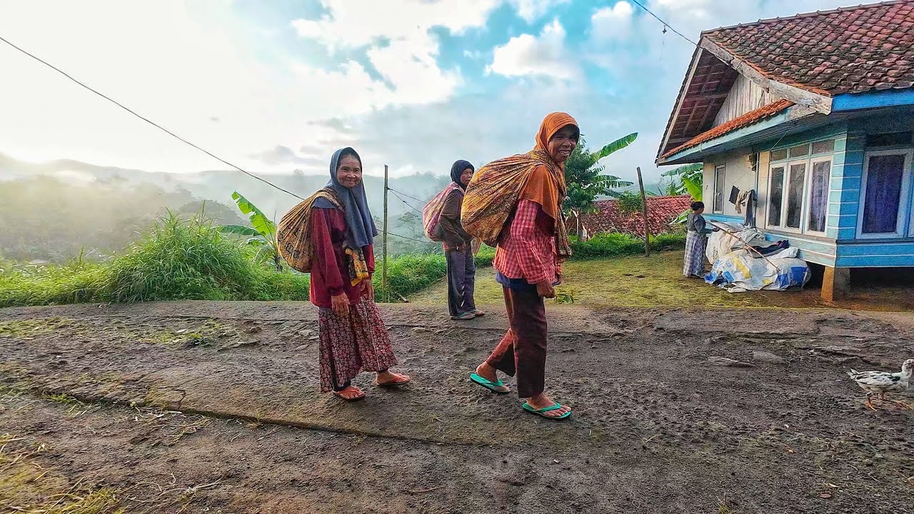 BETAH BANGET !! SUASANA PAGI HARI INI DI PERKAMPUNGAN DI PEGUNUNGAN PELOSOK GARUT