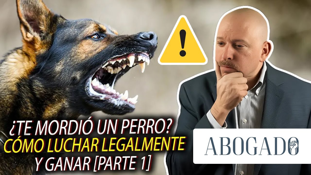 ¿Te Mordió un Perro? Cómo Luchar Legalmente y Ganar [Parte 1] 🐕