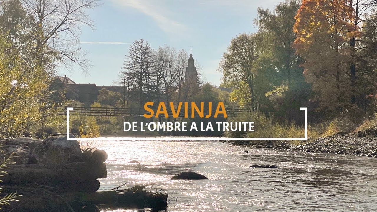 Savinja. Pêche à la mouche sur la haute Savinja en Slovénie.