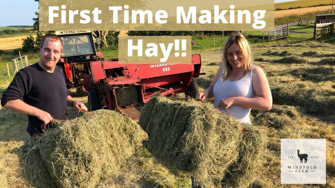 Baling Hay with an International 784 and an International 440 Baler - Windfold Farm - 104