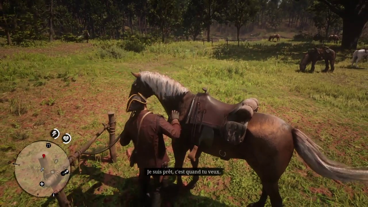 Red Dead Redemption 2 prendre soin de son cheval