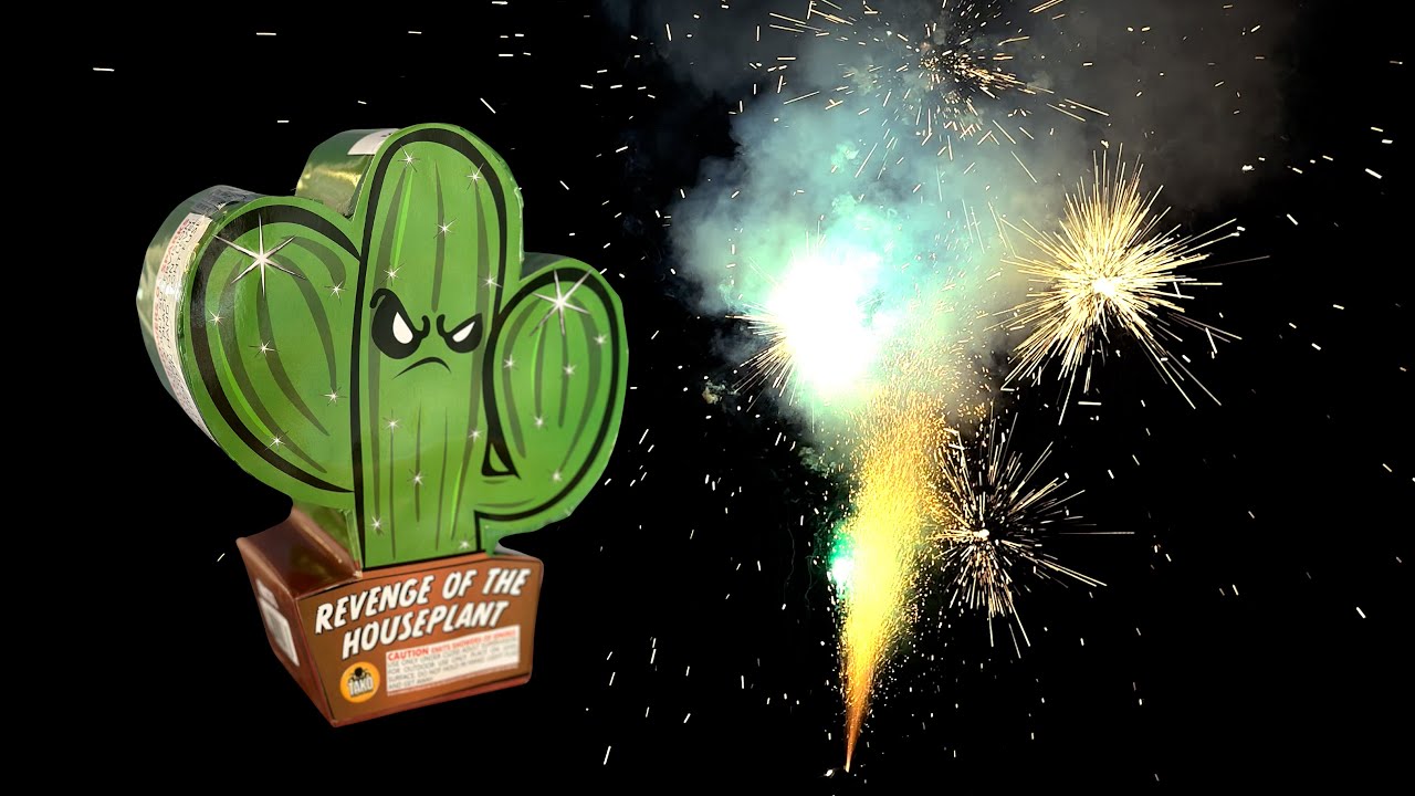 FN177 Revenge of the Houseplant - Cactus Fountain - Tako Pyrotechnics 2024