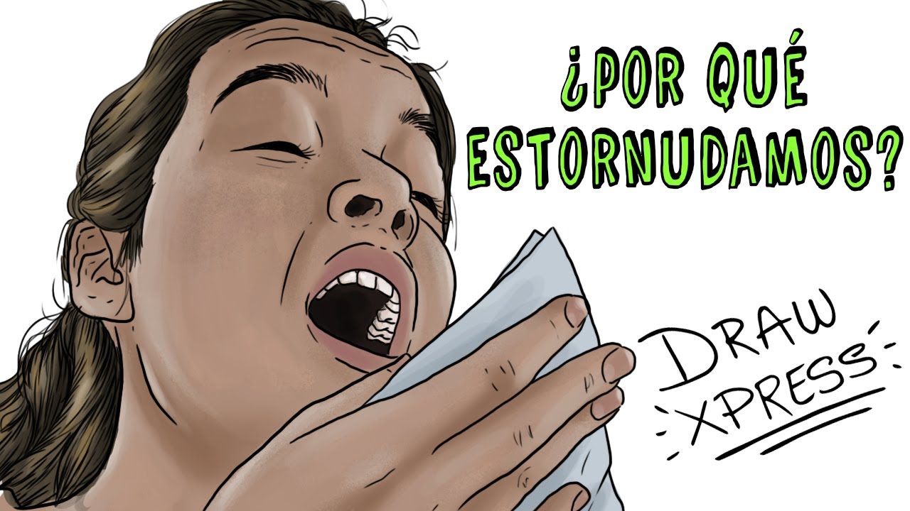 ¿POR QUÉ ESTORNUDAMOS? | Draw My Life