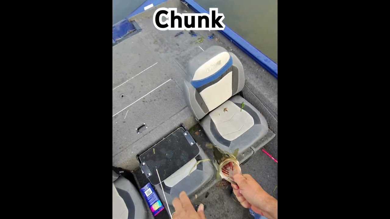 Texas rigging for bass