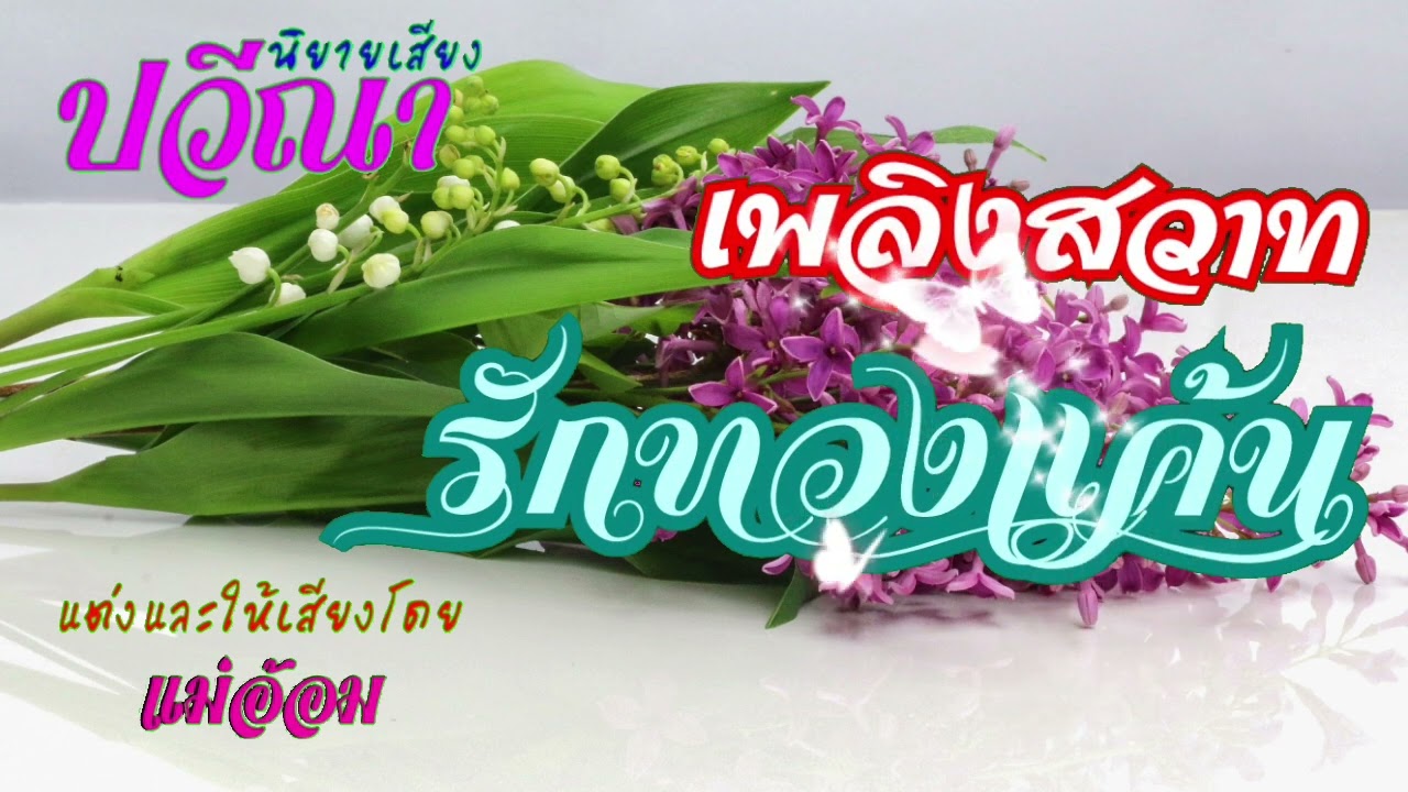 เพลิงสวาทรักทวงแค้น(จบในตอน) #นิยายเสียง #meeaom